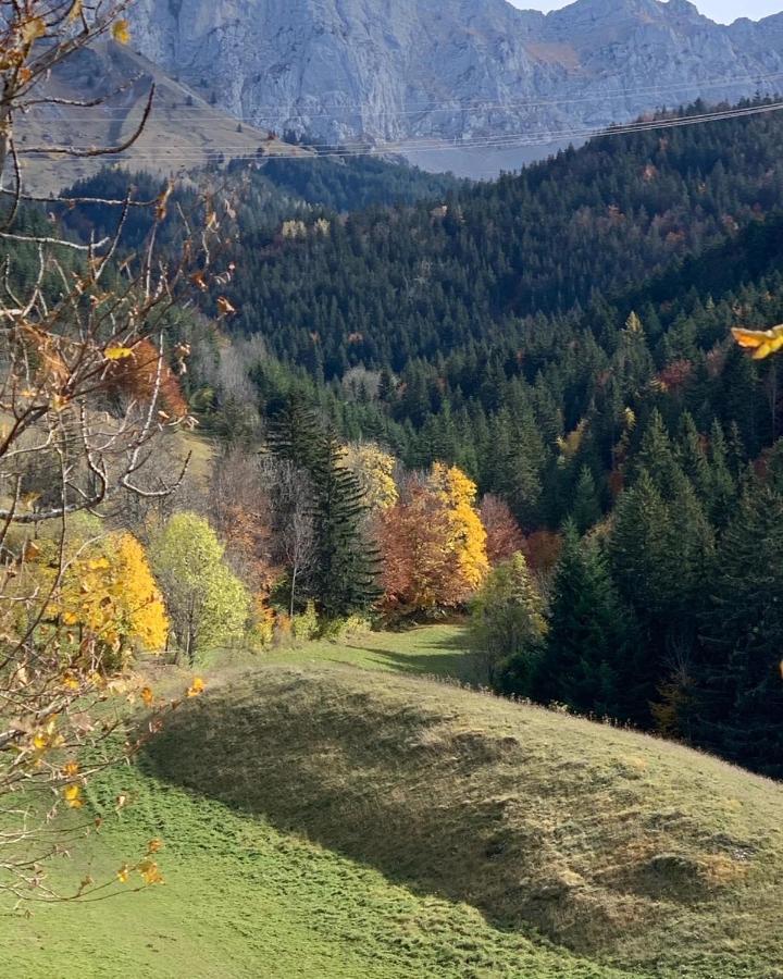 Bel Appart 3* Centre Village Villard-de-Lans Luaran gambar